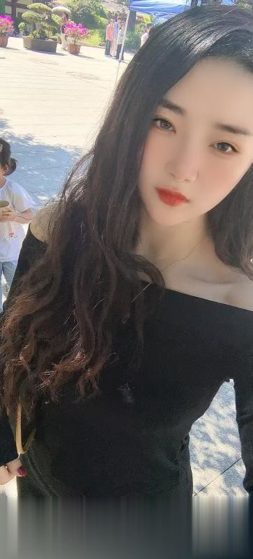 汉阳车震萌物语