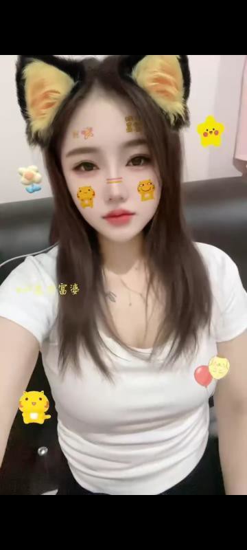 观澜长腿小野猫