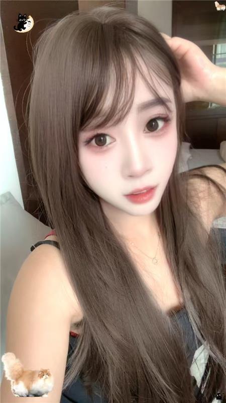 出击南门喵喵